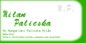 milan palicska business card